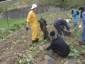 PA110014 - コピー