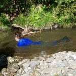 20170518_170518_0001