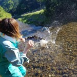 20170518_170518_0010