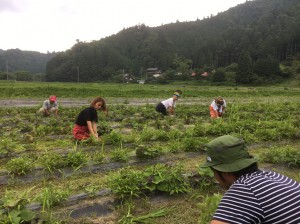 草抜き