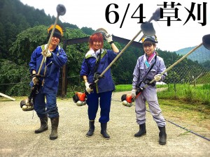S__48562187