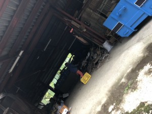 IMG_0555