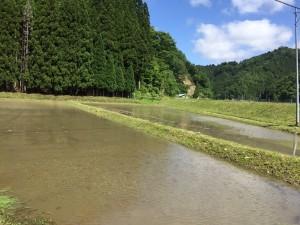 IMG_3069
